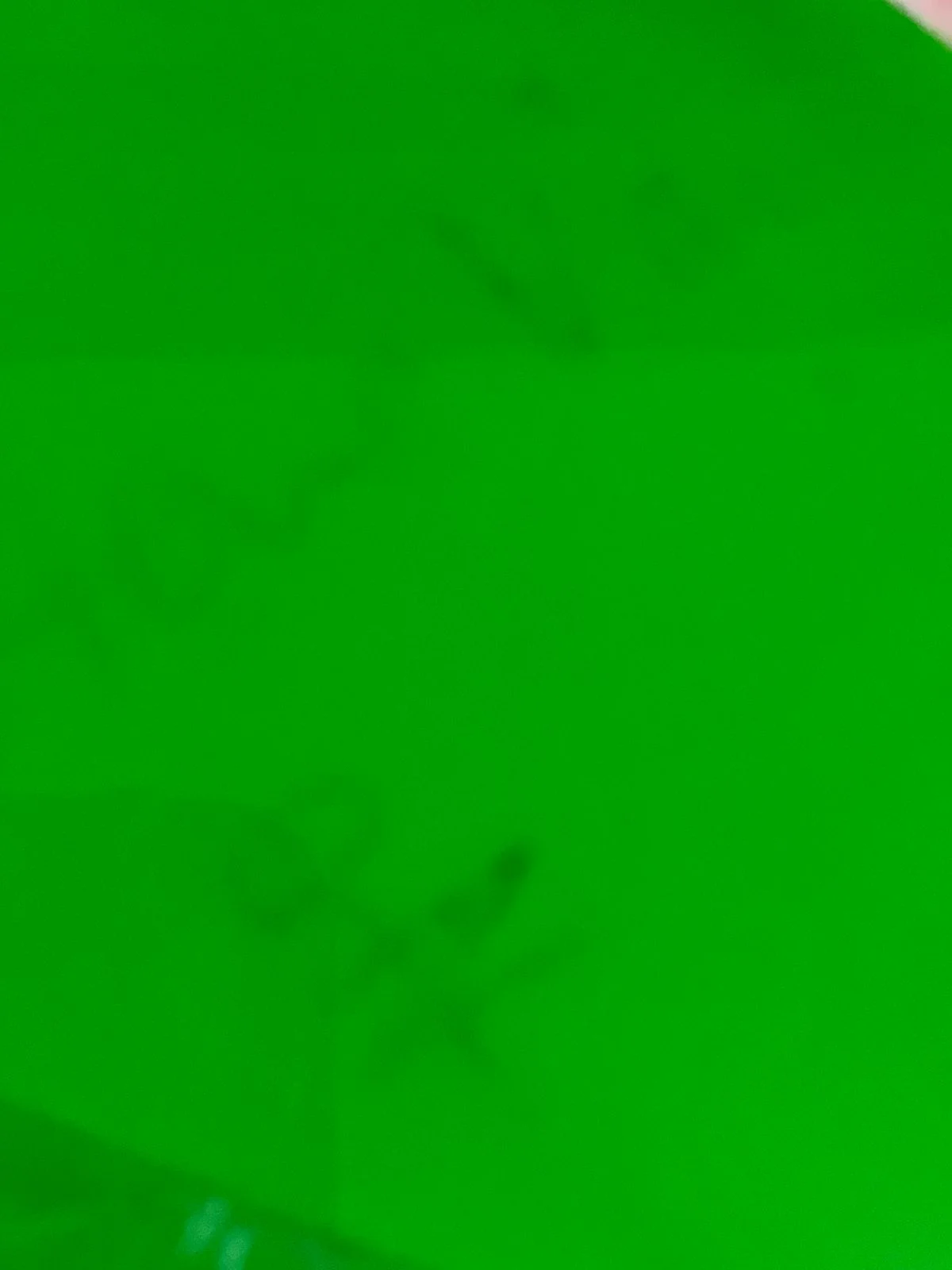 Green Jem #173 — archive photograph 34