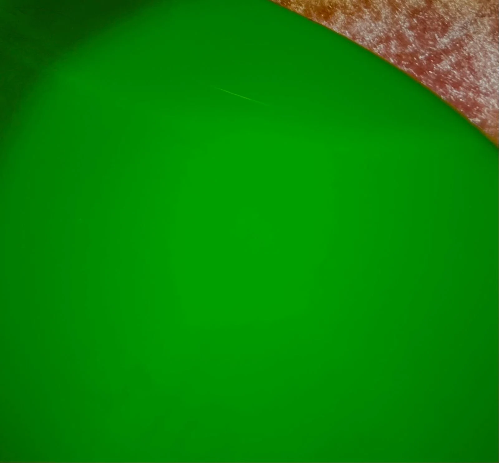 Green Jem #173 — archive photograph 38