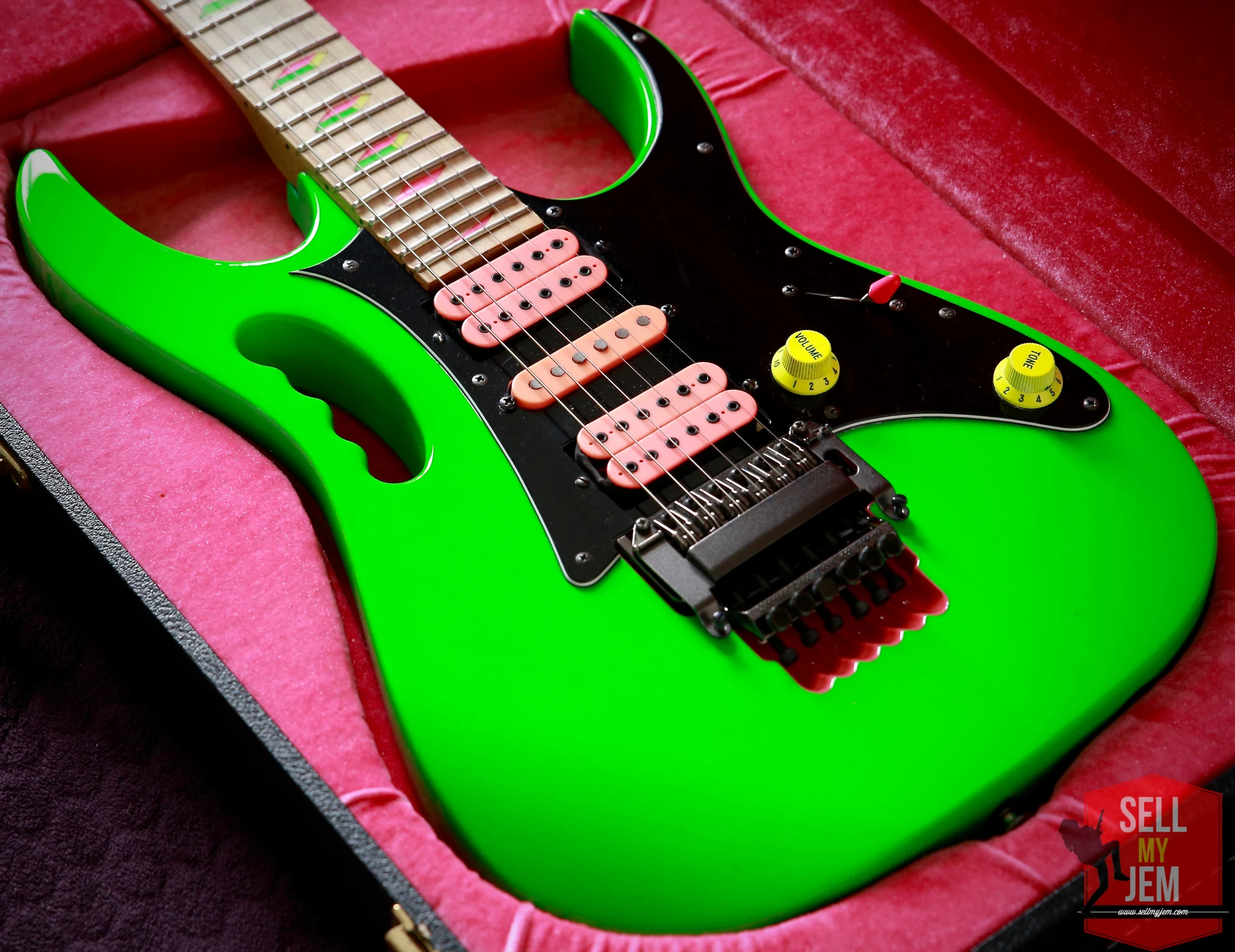 Green Jem #245 — archive photograph 14