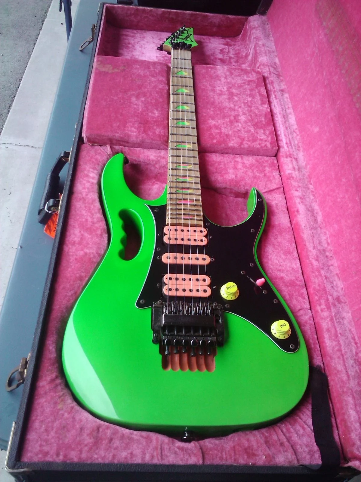 Green Jem #256 — archive photograph 4
