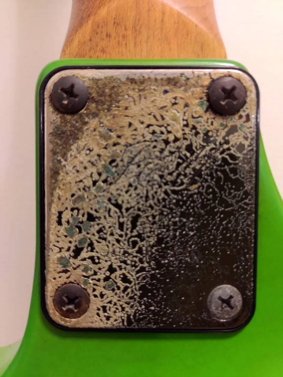 Green Jem #476 — archive photograph 6