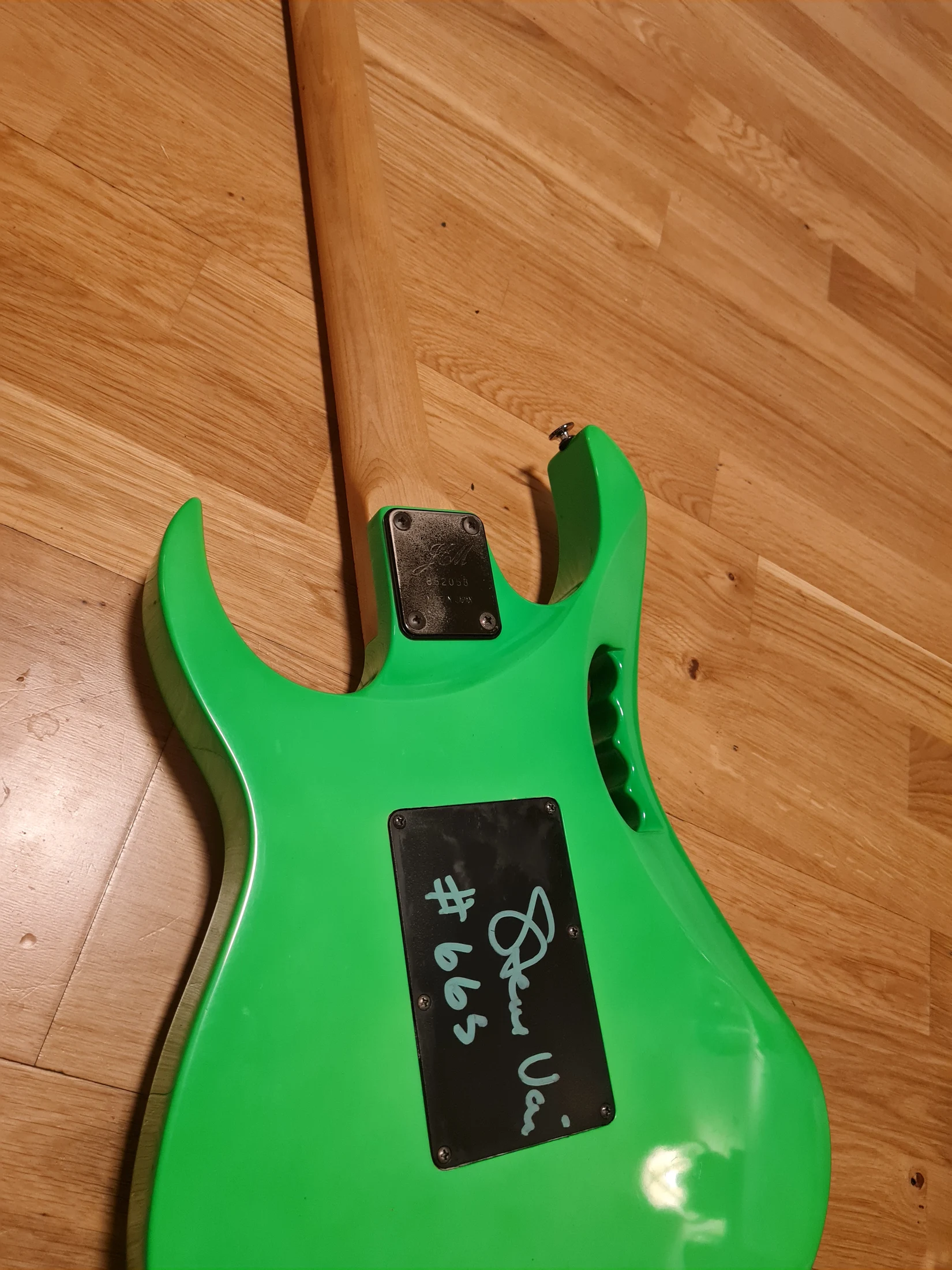 Green Jem #665 — archive photograph 1