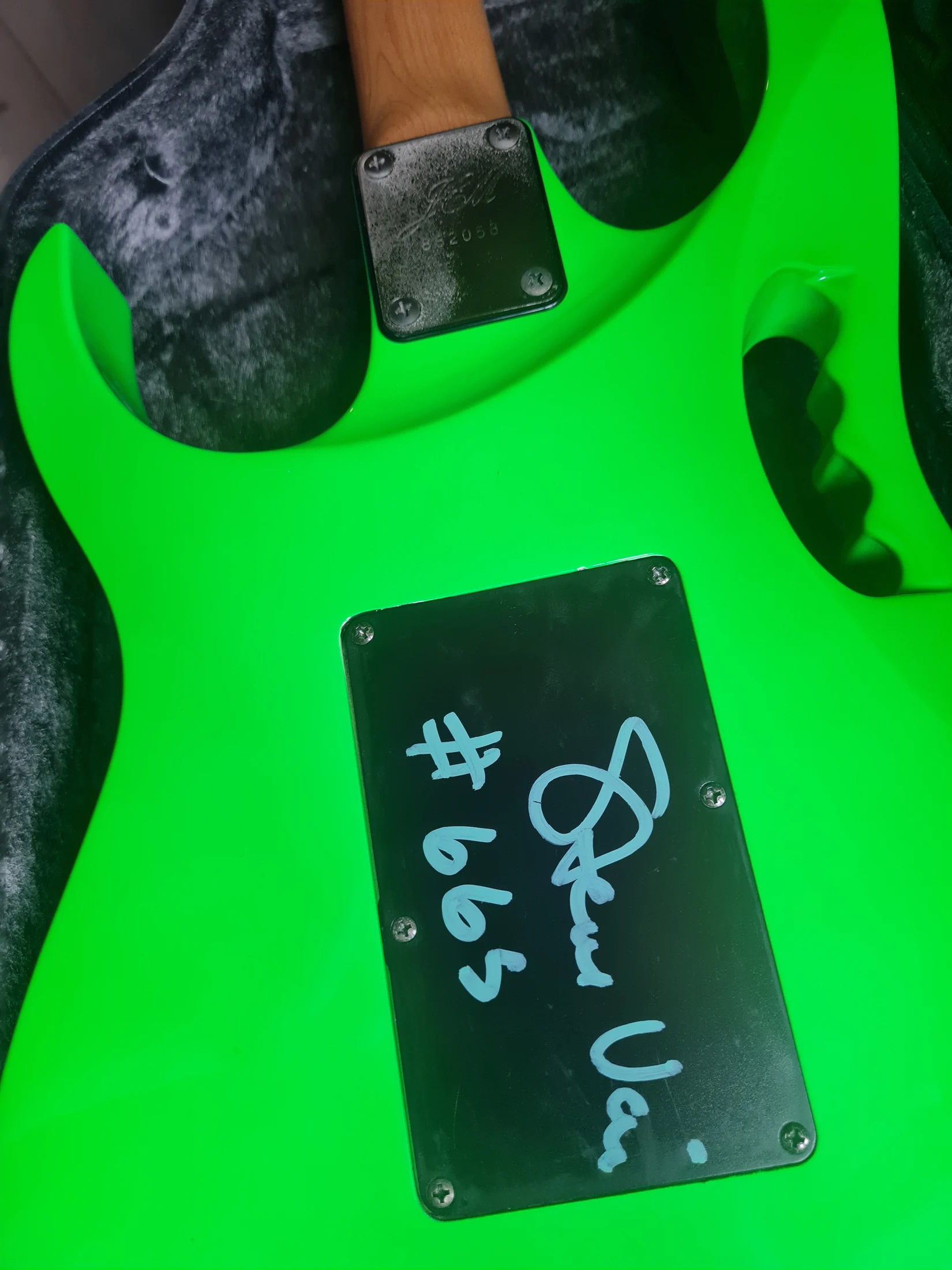 Green Jem #665 — archive photograph 7