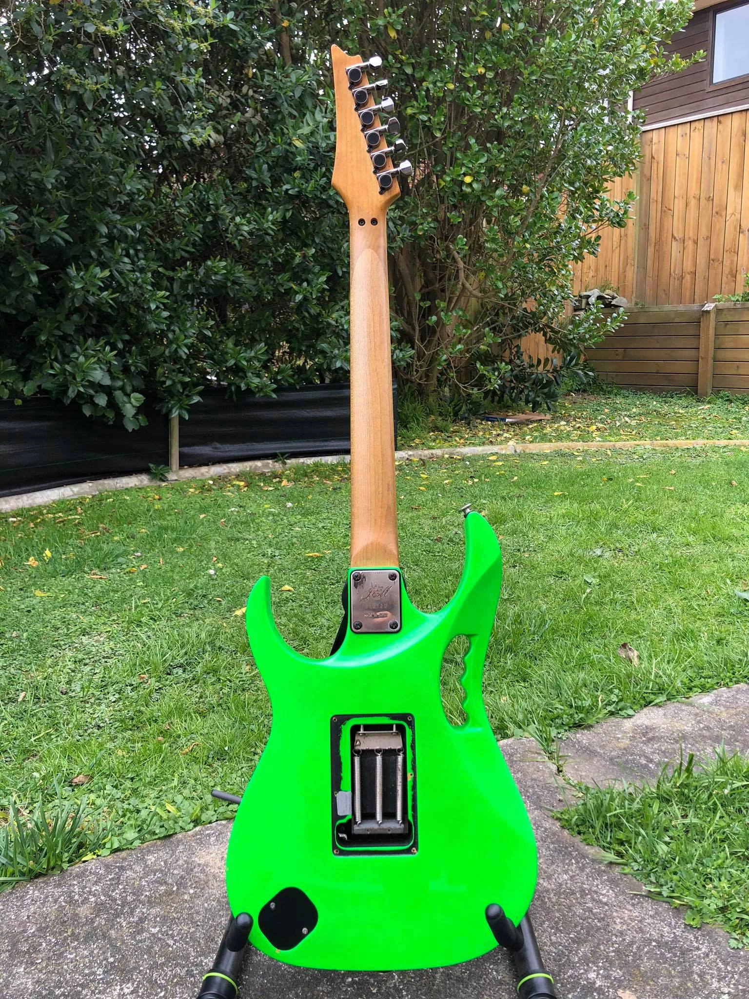 Green Jem Unknown Q — archive photograph 7